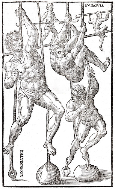 Male gymnasts climbing ropes