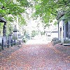 Kensal Green Cemetery